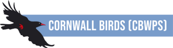 BTO