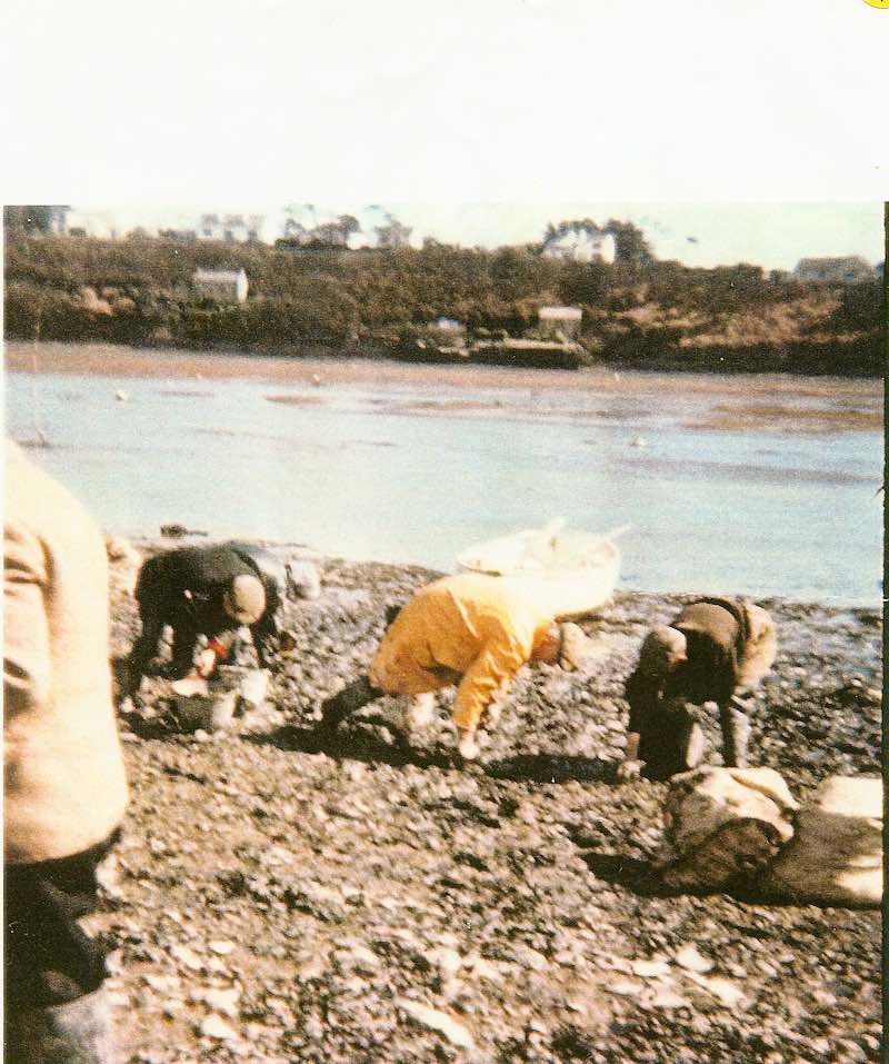 Charlie and Will Trebilcock help Dick to pick up oysters 